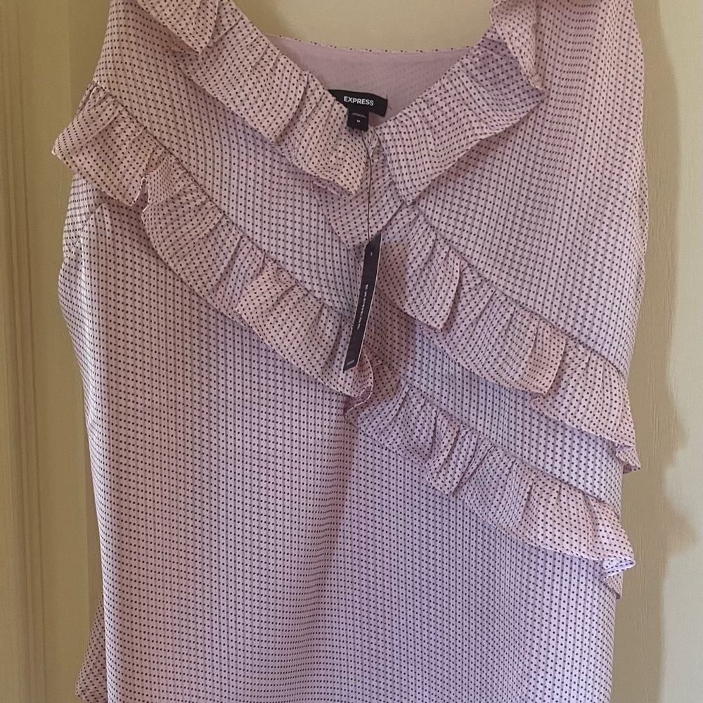 Express Pink Ruffled Blouse